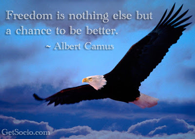 Freedom is nothing else but a chance to be better